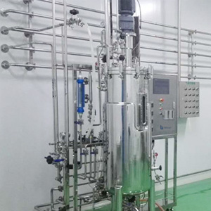 200l Stainless Steel Automatic Fermenter